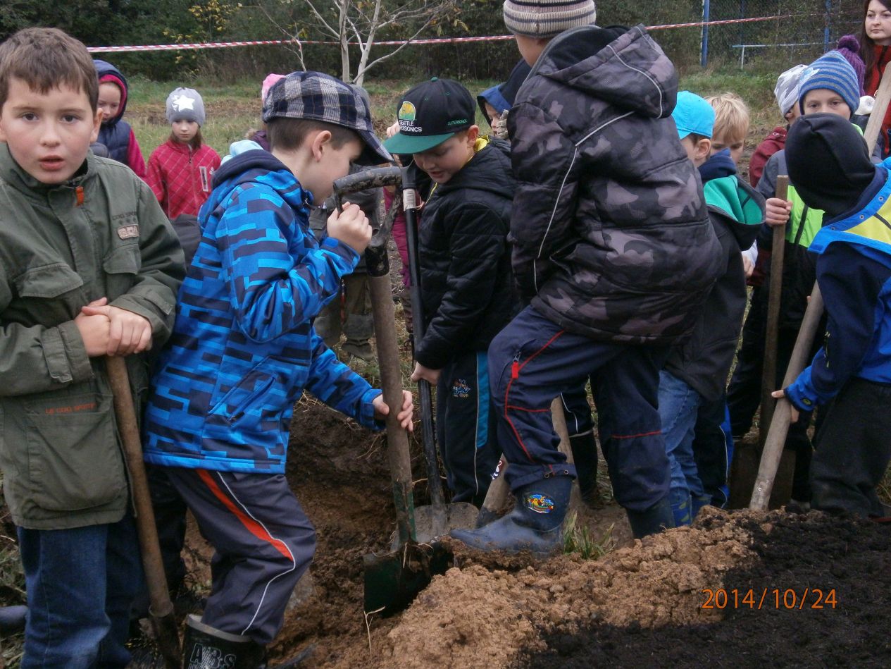 Projektový den se žáky ZŠ M. Alše - výsadba stromů HILTON 24.10.2014