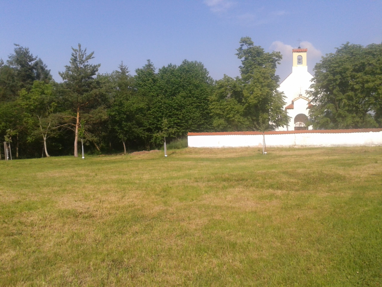 Okolí kaple sv. Václava a v Suchdolském sadu